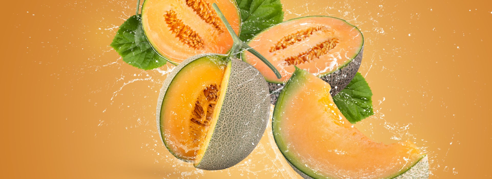 TIME FOR MELON!